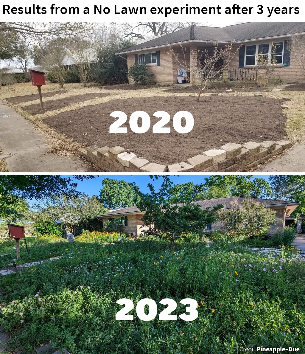The meme is a humorous comparison between a lawn that has been left unattended for three years and a lush, overgrown garden. The top image shows a barren, weed-covered lawn with a few bare trees, while the bottom image shows a vibrant, flowering garden with a variety of plants and trees. The text at the top reads "Results from a No Lawn experiment after 3 years" and the bottom image has the year "2023" written on it.